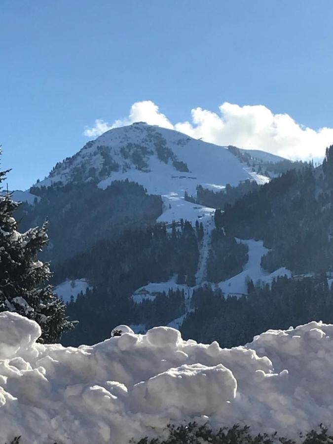 Wittner'S Apartment Soll Bagian luar foto